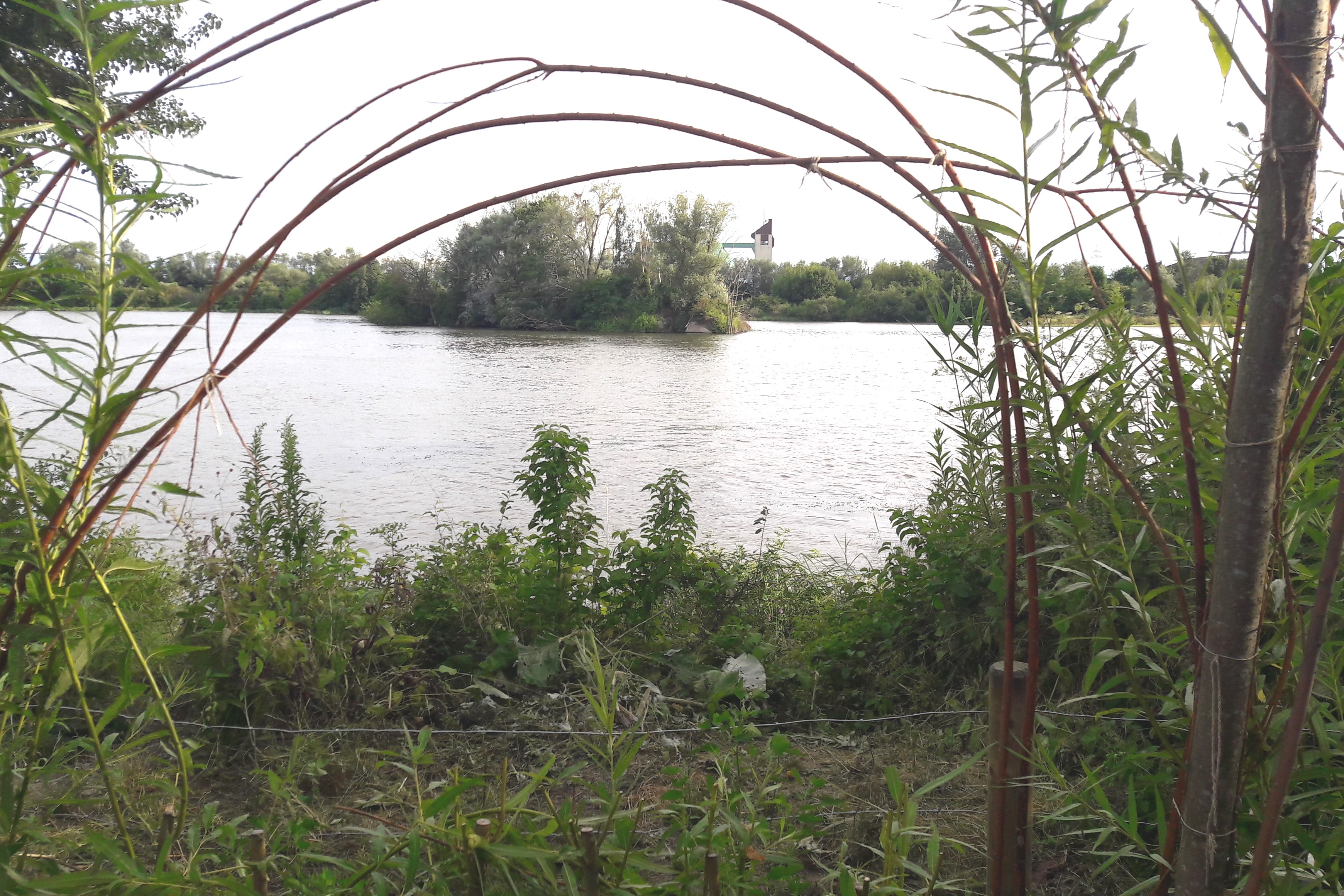 Blick aus der Vogelbeobachtungsstation Richtung Wasser