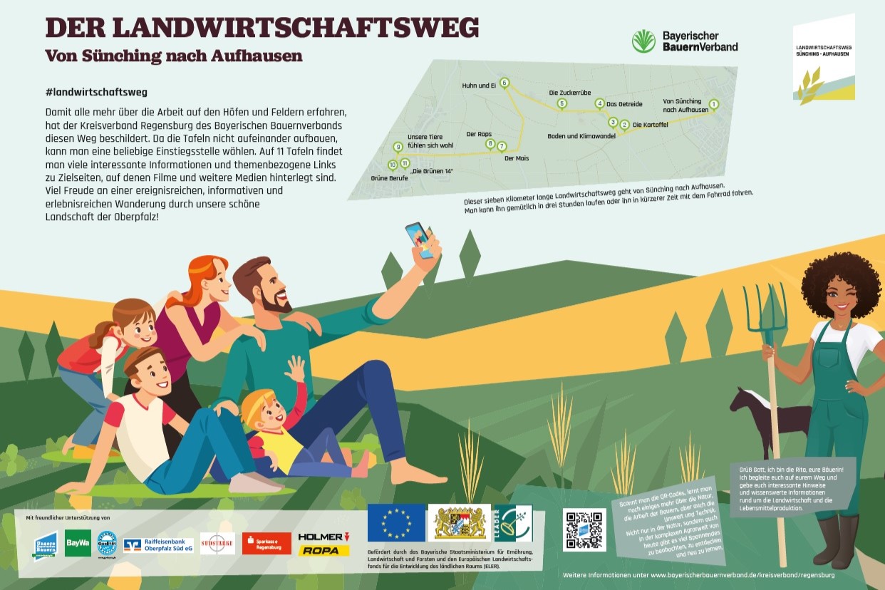 Der Landwirtschaftsweg von Sünching nach Aufhausen