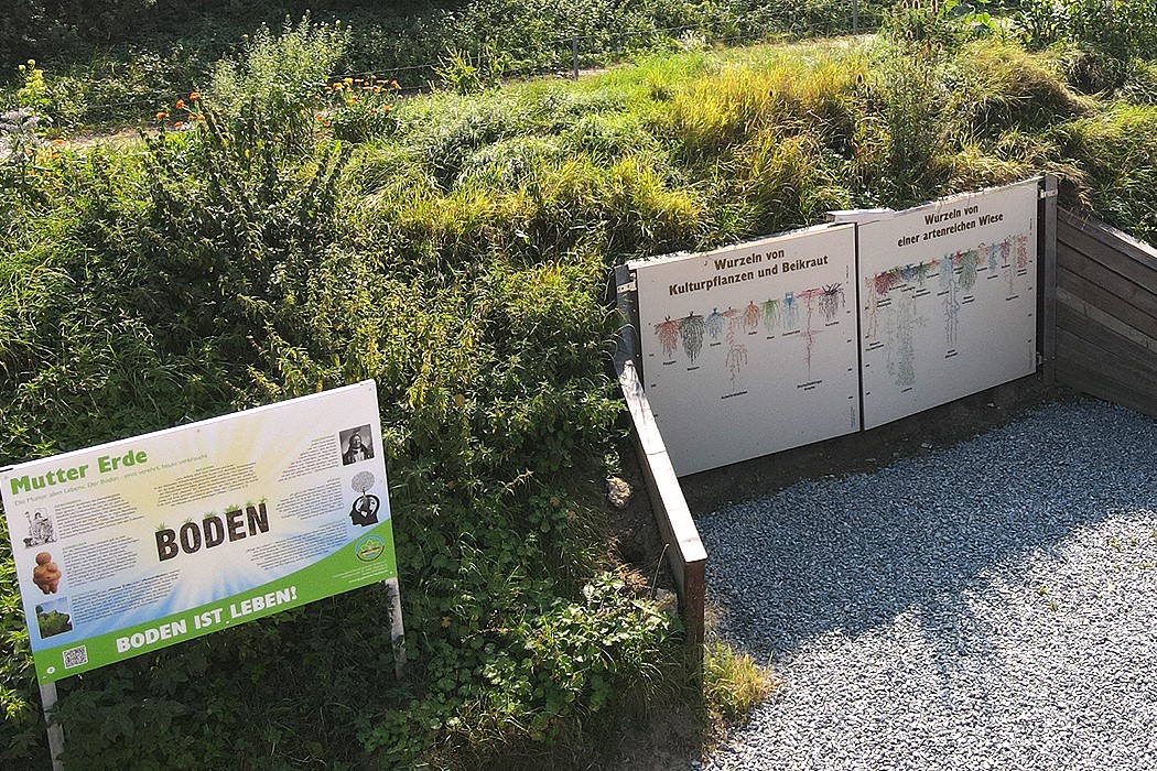 Wurzelfenster auf dem Bodenentdeckungspfad