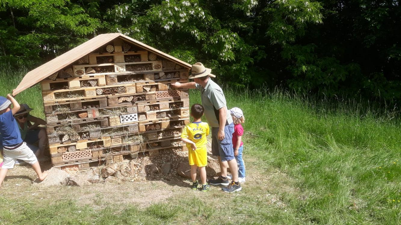 Ein Erwachsener baut mit Kindern ein großes Insektenhotel aus Holzpaletten.