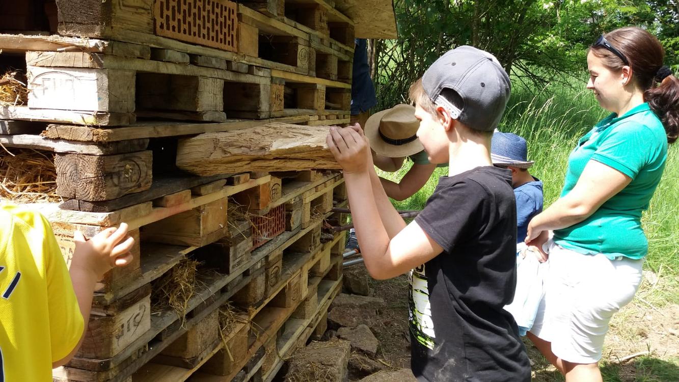 Kinder betrachten ein Insektenhotel gebaut aus Holzpaletten.